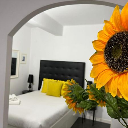A 20 Pasos Del Museo Picasso Apartment มาลากา ภายนอก รูปภาพ